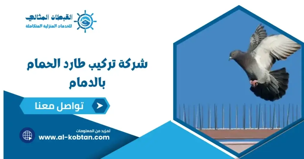 شركة تركيب طارد الحمام بالدمام